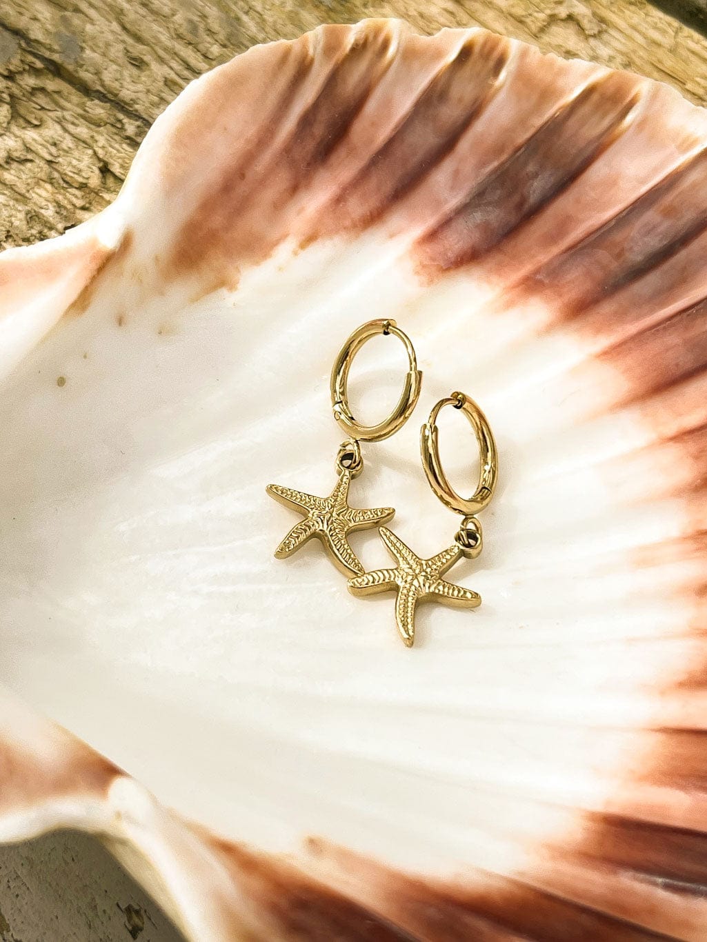 MEA NANI JEWELLERY Øredobber STARFISH GULLBELAGTE ØRERINGER